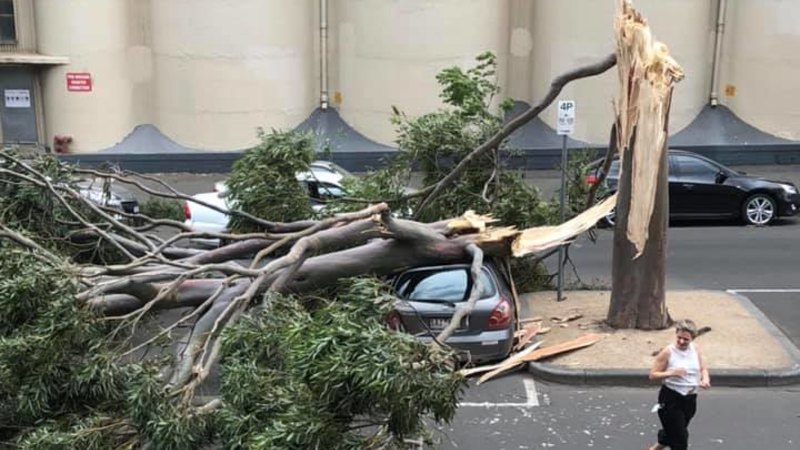 Thousands to remain without power until evening after freak winds