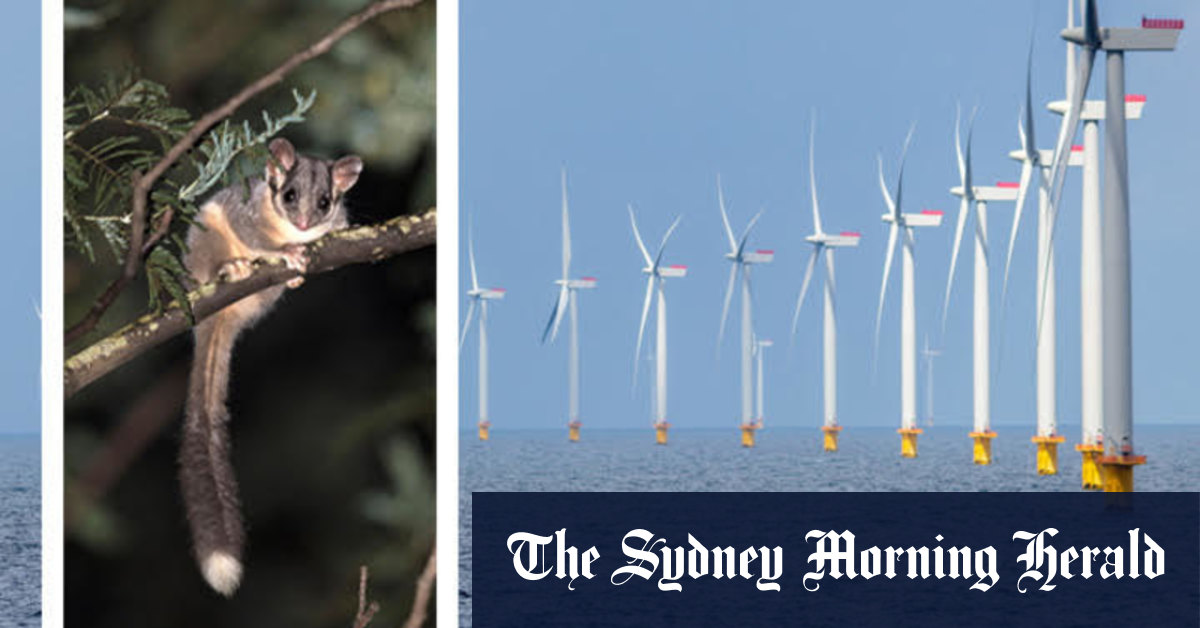 Victorian election 2022: How the environment policies differ - Vimarsana News