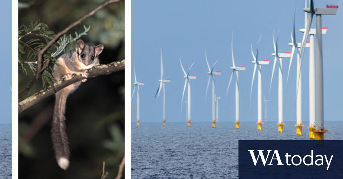 Victorian election 2022: How the environment policies differ - Vimarsana News