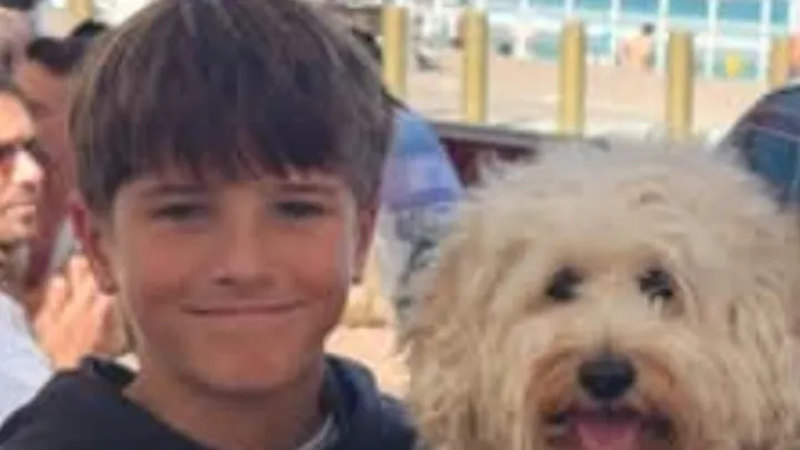 ‘Worst possible outcome’: 12-year-old victim of shark attack not expected to survive