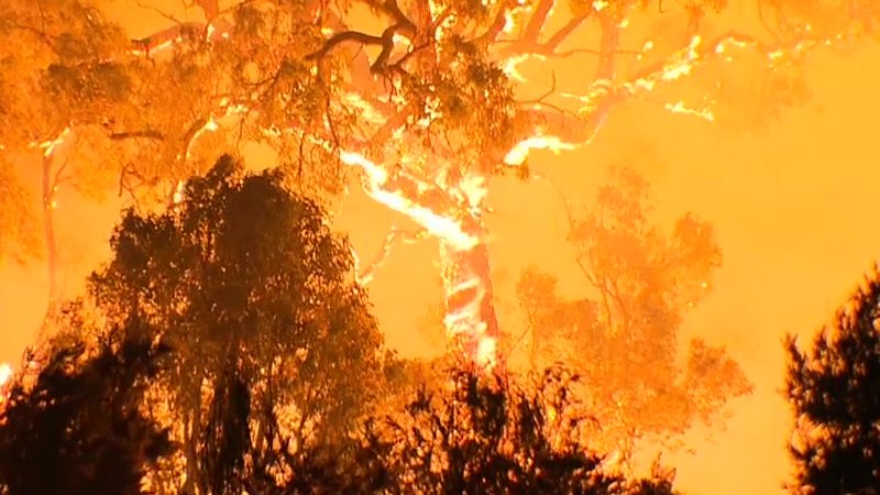 ‘Homes under threat’: Bushfire bears down on Australind housing estate