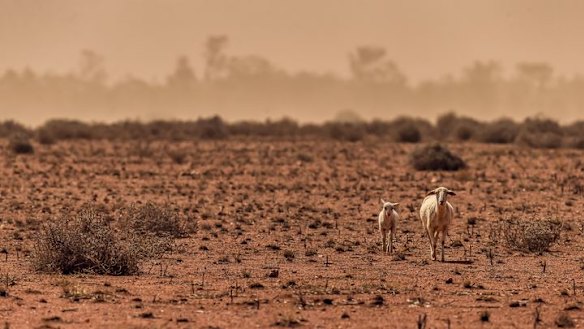 More people are looking for better ways to invest rather than keeping an inheritance in cash. 