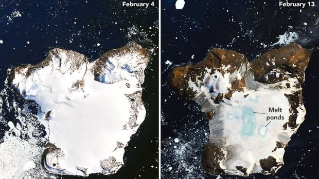 Melting on the ice cap of Eagle Island, Antarctica, during a warm period between February 4 and February  13, 2020, seen in images gathered using the Operational Land Imager (OLI) on Landsat 8.