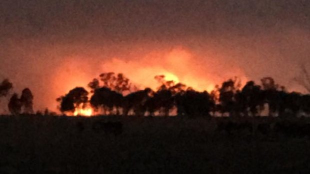 Picture of the Rosedale fire taken from the Princes Highway.