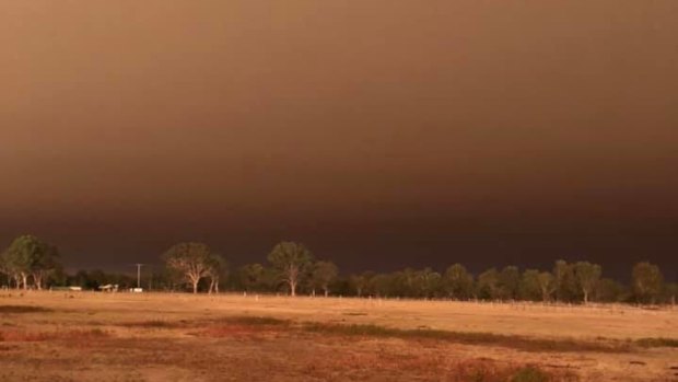 The sky was almost pitch black due to smoke from the Dargo and Licola fires at Ashmore Equine Services, near Munro. 