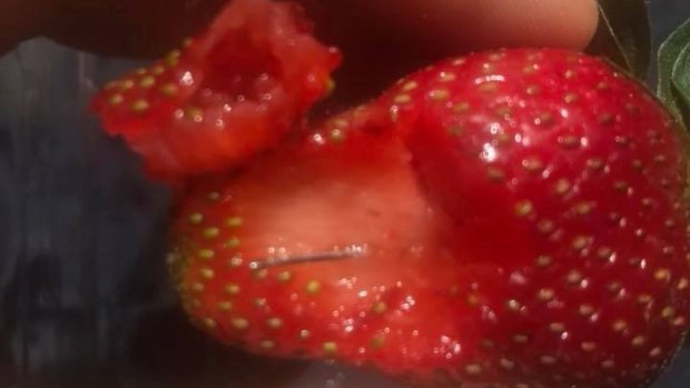 A strawberry contaminated with a sewing needle. 