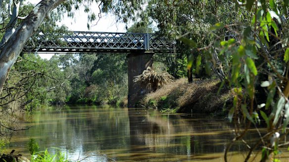 The Yarra River is at risk of being polluted with huge volumes of stormwater runoff from the North East Link.
