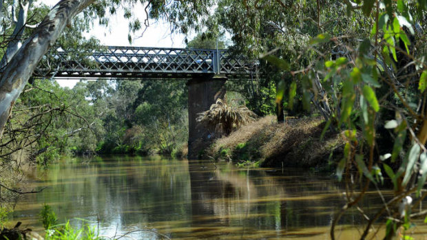 The Yarra River is at risk of being polluted with huge volumes of stormwater runoff from the North East Link.