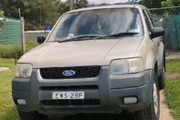 Yvonne was driving a gold-coloured Ford Escape wagon with NSW registration EWS28P.