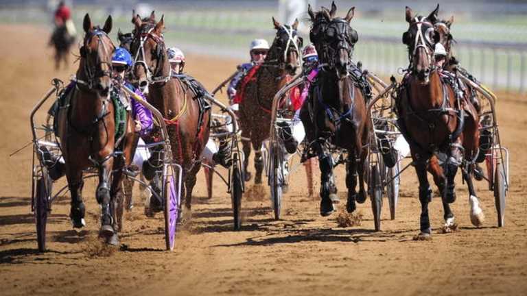 Greener pastures: A subsidy will ease the cost of getting mares to irrigated studs.