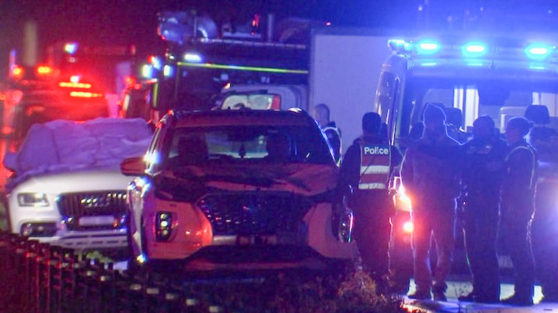 Two women killed on Hume Freeway while trying to help injured kangaroo