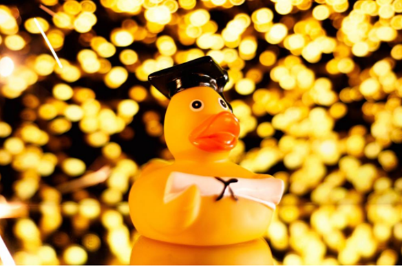 A picture of a rubber duck included in Emeritus Professor William Maley’s submission to the inquiry on university governance.