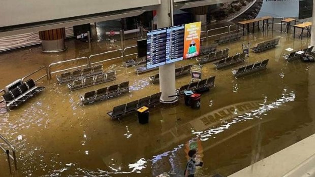 ‘Wettest on record’: Torrential rains, flash floods claim lives in Auckland