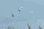 Two firefighting helicopters collide over Greece.