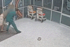 Brisbane nurse Daniel Nelson fights off an assault from a patient at a hospital.