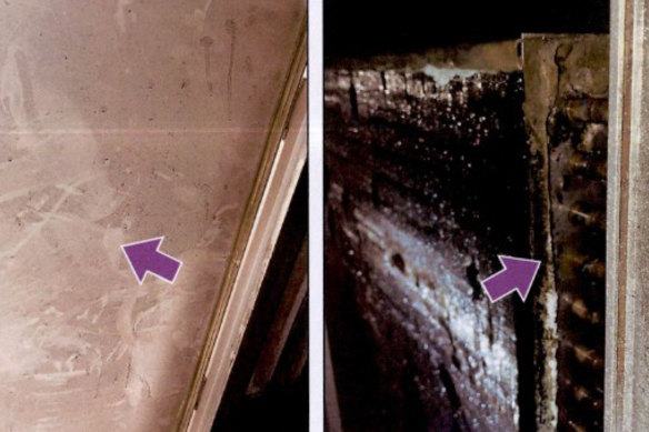 Mould found inside Royal Prince Alfred Hospital on January 19, after two transplant patients died in a fungal infection cluster.