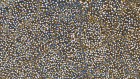 Emily Kame Kngwarreye, Anooralya - My Story 1991. 