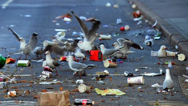Researchers think seagulls may be picking up the pathogens while scavenging human waste.