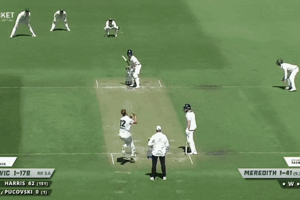 Will Pucovski is felled by a short ball from Tasmanian quick bowler Riley Meredith earlier this year.