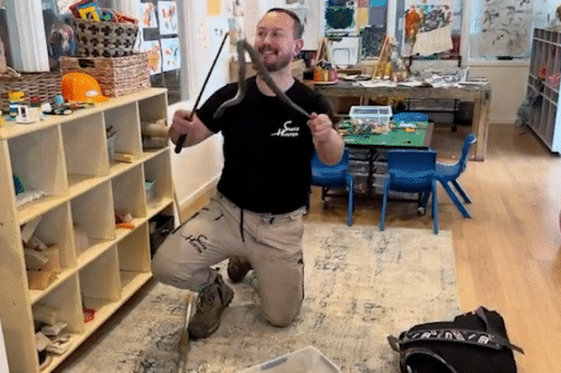 Pelley swooped into a childcare centre to catch the fifth-deadliest snake in the world.