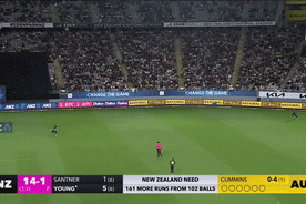 Matthew Wade makes a great diving catch against New Zealand.