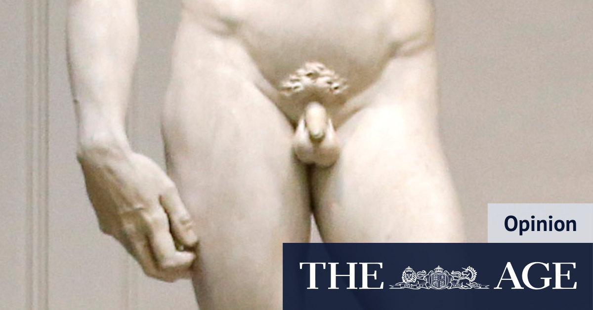 Tallahassee Classical School: Michelangelo a genius? No, just a filthy little boy - Vimarsana News