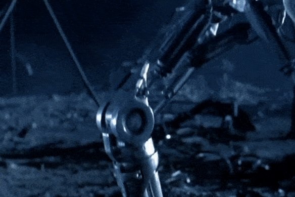 The Terminator robots have no plans to co-exist to humans. They want the whole planet.