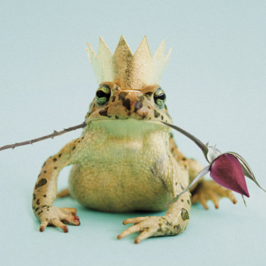 "I wanted to believe in a prince, in the idea I might have met the one, the fairy tale. I wanted to believe in love."