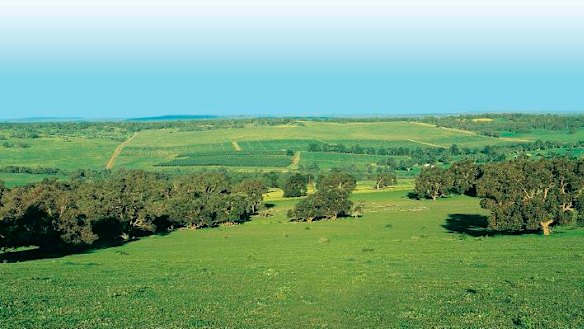 The new rural estate selling 300 massive blocks on Perth’s outskirts