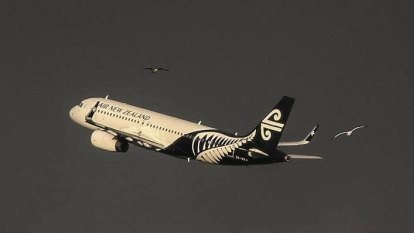 Air NZ announces non-stop flights between Auckland and Hobart