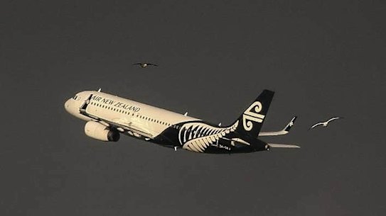 Tickets will go on sale once quarantine-free travel across the Tasman is available.