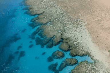 Scott Reef, off the Kimberley coast.