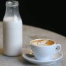 Fresh almond milk is becoming a popular choice for coffees in cafes such as Melbourne's Patch.