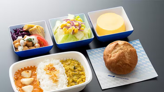 A Hindu meal offered on ANA’s flights.
