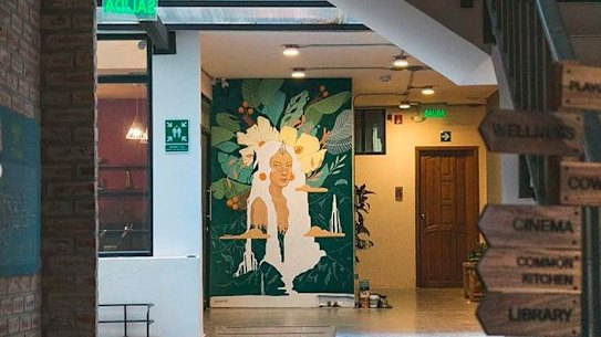 Ash Taylor landed her first mural gig in South America in 2019.