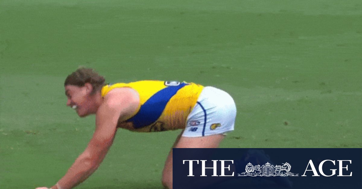 West Coast Eagles’ Harley Reid gives Brisbane Lions crowd the finger
