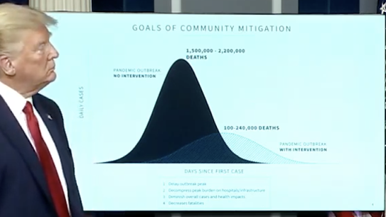 President Trump stands before a screen showing the projected curve of infections in the US. Up to 240,000 Americans could die.
