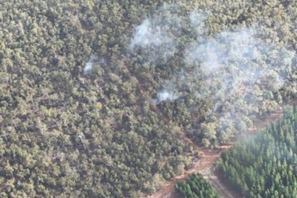 The area of state forest where a fire was allegedly deliberately lit by a Busselton man.