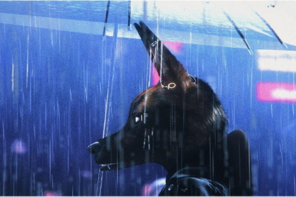 A still from the animated film Bouchra.