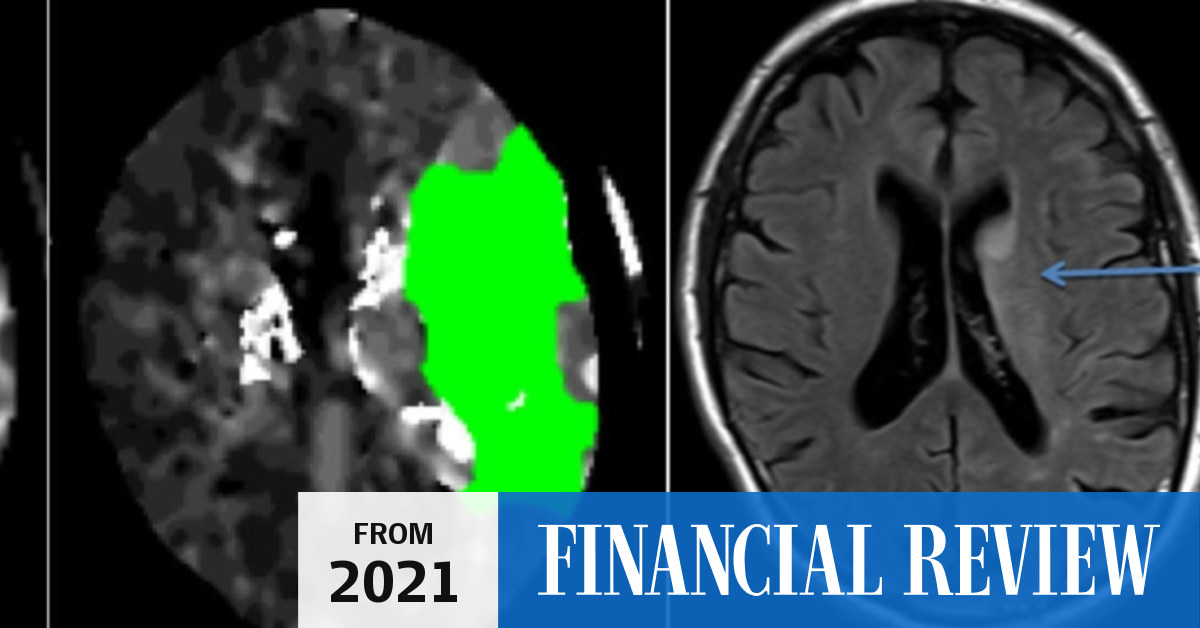 Amsterdam's Nico.Lab taps Aussie funds for pre-IPO raise - The Australian Financial Review