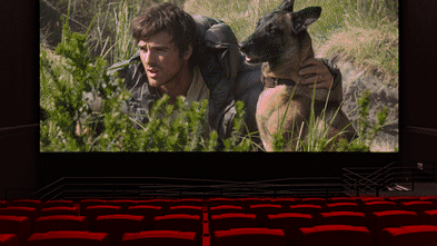 Jacob Elordi’s post-apocalyptic drama and Olivia Wilde’s sexy new comedy, plus other new movies to watch this week