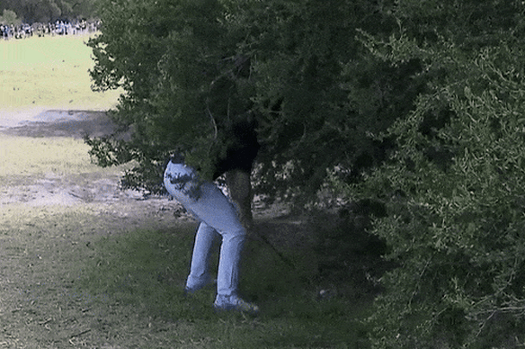 LIVE: 2025 Australian Open golf day two from Royal Melbourne