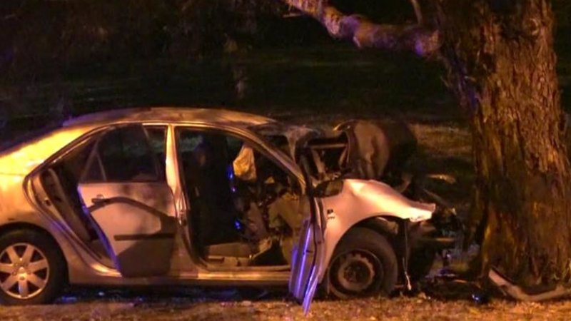 WA news LIVE: Man rushed to hospital after car crashes into tree at Herdsman Lake