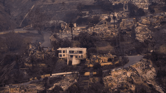 Some houses had a lucky escape from the LA fires - what makes them different?