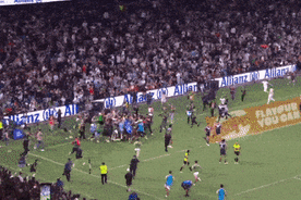 The crowd rushes the field at Allianz Stadium.