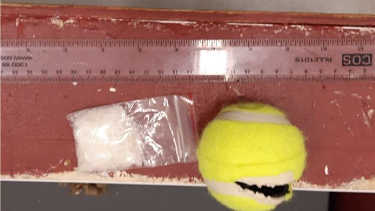 Methamphetamine was hidden in a tennis ball in a detention centre.