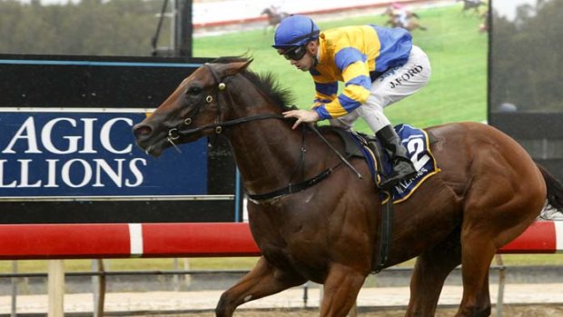 They're off: Racing returns to Wyong today with an eight-race card.