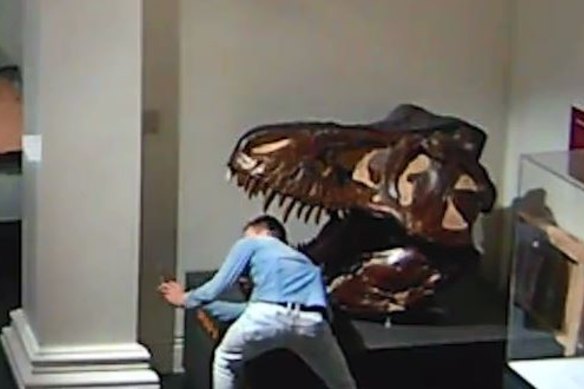 The man was captured on CCTV camera taking a selfie with his head inside a dinosaur skull.