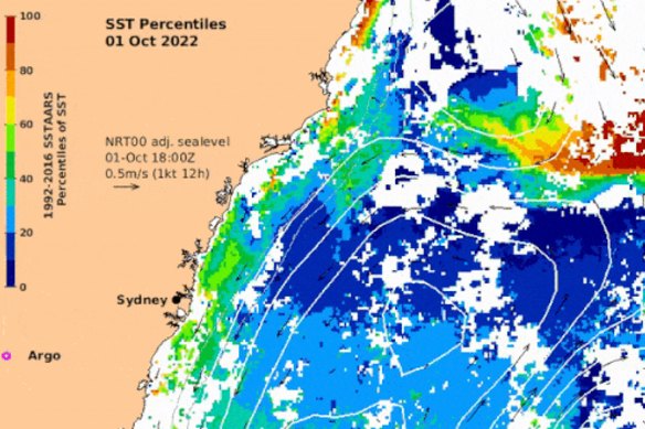 The East Australian Current brings warm water down to Sydney.