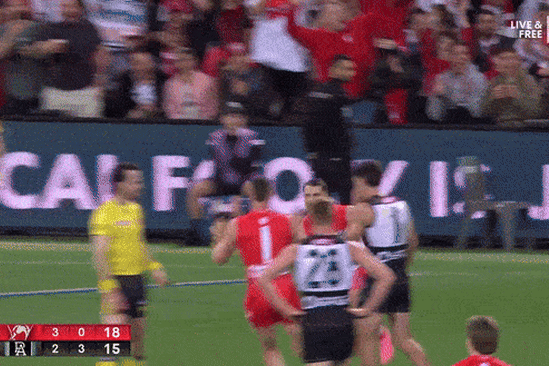 The early incident involving Tom Papley during Sydney’s preliminary final win over Port Adelaide.